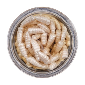 VIERMI ARTIFICIALI BERKLEY GULP ALIVE WAXIES MLD 12MM WHITE 45 - Img 6