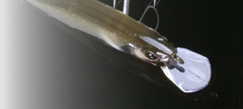 VOBLER JACKALL TRICOROLL RYUSHIN KNOCKER 63HW 6.3CM / 7.6G GOLD AYU - Img 4