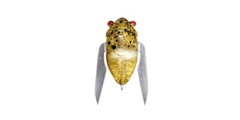 VOBLER MEGABASS HARUZEMI 23.8mm 1.7gr FF CADDIS