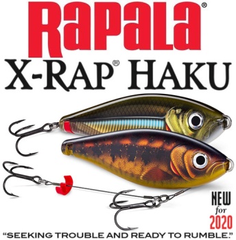 VOBLER RAPALA X-RAP HAKU 14CM 74G HTIP - Img 2
