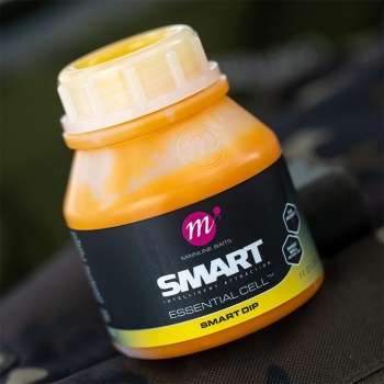 ADITIV MAINLINE ESSENTIAL CELL SMART DIP 250ML