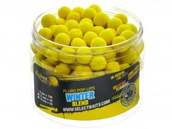 BOILIES SELECT BAITS POP-UP MICRO WINTER BLEND 8MM