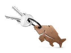 BRELOC DELPHIN CU DESCHIZATOR DE STICLE CARPENER BRONZ