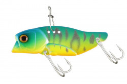 CICADA JACKALL KNOCKIN JAW 3/8OZ AOTORA