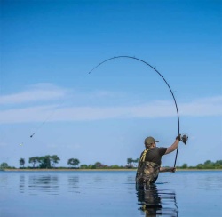 LANSETA AVID CARP REVOLVE 3.60M 3.00LBS 2BUC