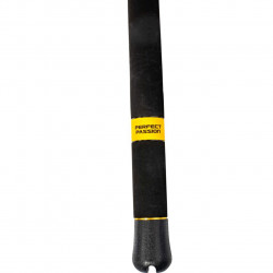 LANSETA BLACK CAT PERFECT PASSION XH-S 3.00M 350GR