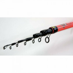 LANSETA BOLOGNESA LINEAEFFE TELE.CARBON BOLO 6.00M / 5G