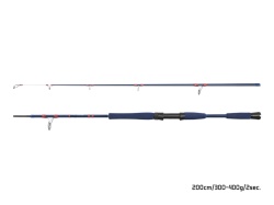 LANSETA DELPHIN FYORD BIGBOAT 220CM 300-400G 2BUC