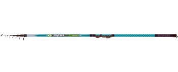 LANSETA KONGER ARCUS PRO BOLOGNESE 6.00M 30GR