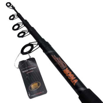 LANSETA LINEAEFFE VIGOR HARD CORE EVOLUTION 3.30M / 100-200G - Img 2
