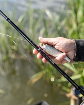 LANSETA MATCH MATRIX HORIZON X LIGHT WAGGLER 3.60M 6 G 2TR - Img 11