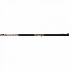 LANSETA PENN LEGION CAT GOLD INLINER 250G CAST 1.80M 2TR