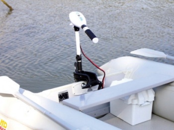 MOTOR ELECTRIC HASWING OSAPIAN 40 LBS - Img 5