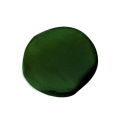 PASTA TUNGSTEN CARP ZOOM VERDE 20GR
