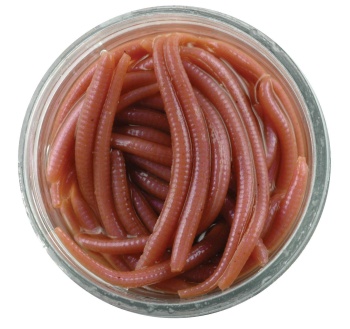 RAMA ARTIFICIALA BERKLEY GULP! ALIVE ANGLE WORM NATRL 79
