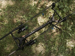ROD POD DELPHIN BRONX / 3 POSTURI