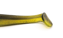 SHAD ADUSTA VARIOUS SHAD 4 10CM 119 SPAWNING SHRIMP 5BUC/PLIC