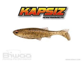 SHAD BIWAA KAPSIZ 4 10CM 205 VAIRON 5BUC/PLIC
