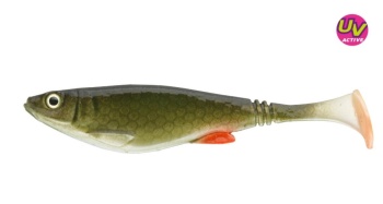 SHAD DAIWA PROREX BELLY 11CM/NATURAL GREEN ROACH/4BUC/PL