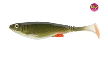 SHAD DAIWA PROREX BELLY 6CM/NATURAL GREEN ROACH/4BUC/PL