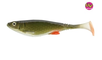 SHAD DAIWA PROREX BELLY 8,5CM/NATURAL GREEN ROACH/4BUC/PL