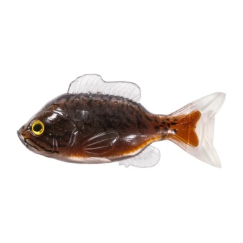 SHAD LIVE TARGET SUNFISH UNRIGGED 8,5CM BLACK/BROWN 4BUC/PL