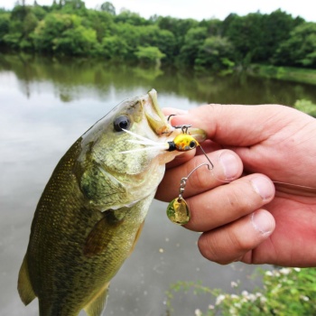 SPINNERBAIT TIEMCO NECROMANCER 6.5GR 45MM 07 LIME CHARTREUSE - Img 2