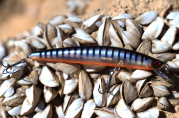 VOBLER DAIWA TOURNAMENT MINNOW 95SP 9,5CM/9,5G KIBINAGO - Img 2