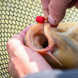 WAFTERS MAINLINE MATCH DUMBELL RED KILL 6MM
