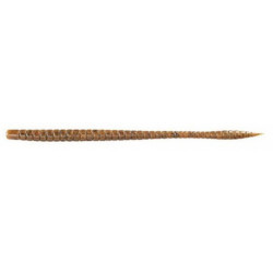 WORM OWNER SHAKY WORM 160MM 01 GREEN PUMPKIN