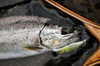 CARLIGE DECOY 28 TROUTIN SINGLE NR.4 16BUC/PLIC - Img 5