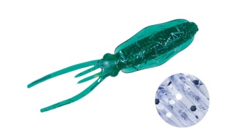 CREATURA MAJOR CRAFT PARAWORM FALL IKA 3.8cm #062 Keimura Clear Silver
