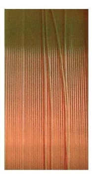 FIR MUSTAD CARP SPECIAL 023MM/3,6KG/1200M - Img 2