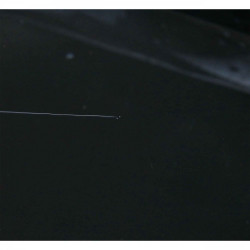 FIR OWNER BROAD SILVER EYE 0.20MM 150M