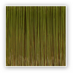 FIR ZEBCO TROPHY PIKE 0.40MM 250M