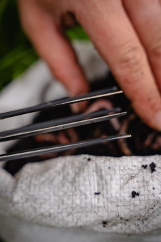 FOARFECA TRIPLA RAME AVID CARP WORM CHOPPERZ - Img 11