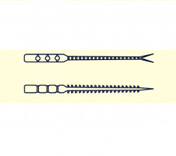 GRUB MUSTAD AJI MICRO BACHI 5CM MELI MELO 12BUC/PL