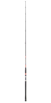 LANSETA DAIWA MEGAFORCE BF 292XH 2.90M 100-300g 2buc - Img 2