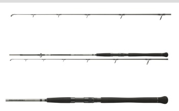 LANSETA DAIWA POWERMESH CATFISH SPIN 2,7M/135G 2TR