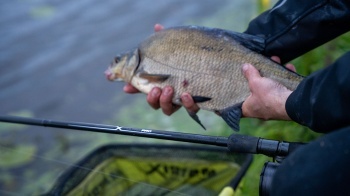 LANSETA FEEDER MATRIX HORIZON X ULTRA PRO DISTANCE 4.20M 150G 3+2BUC - Img 20