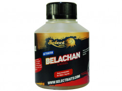 LICHID ACTIVATOR SELECT BAITS BELACHAN
