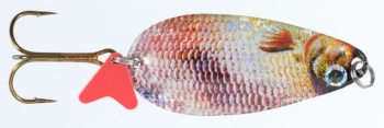 LINGURITA OSCILANTA JAXON HS KARAS SCOT 3E 24GR