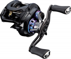 MULINETA CASTING DAIWA ZILLION SV TW 10.0L