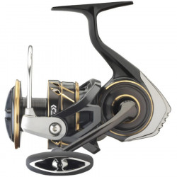 MULINETA DAIWA CALDIA SW 6000D-H
