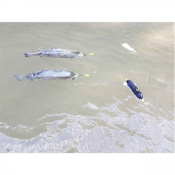 PLUTA CULISANTA SOMN BLACK CAT 40GR DEAD FLOAT BLACK