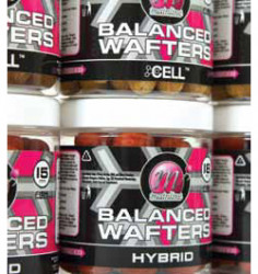POP-UP MAINLINE ESSENTIAL CELL BALANCED WAFTER
