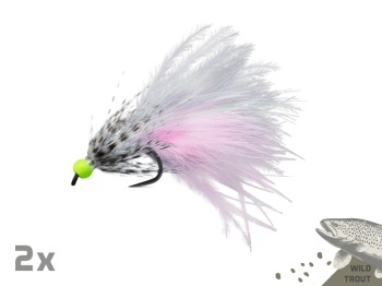 SET MUSTE ARTIFICIALE DELPHIN FLY / 10BUC WILD TROUT - Img 4