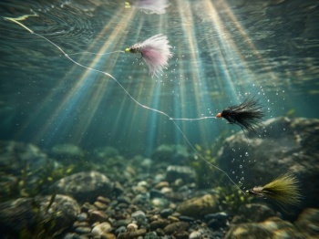 SET MUSTE ARTIFICIALE DELPHIN FLY / 10BUC WILD TROUT - Img 5