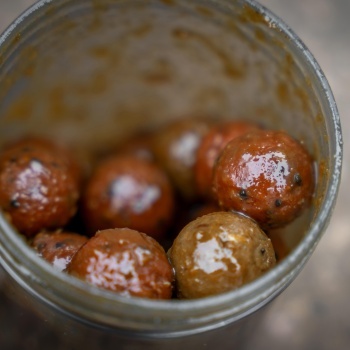 SET RECIPIENTE MOMEALA AVID CARP HOOKBAIT POTS LARGE 4BUC/SET - Img 9