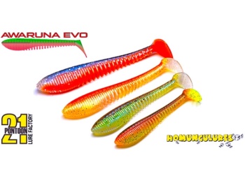 SHAD PONTOON21 AWARUNA EVO 2309 8.9CM - Img 2